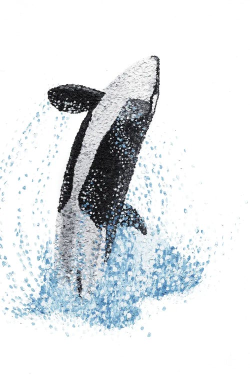 Exhilaration - Orca by Kelsey Emblow wall art