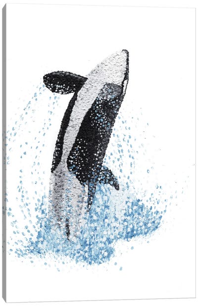 Exhilaration - Orca Canvas Art Print - Kelsey Emblow