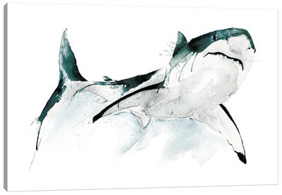 The Great White Canvas Art Print - Shark Art