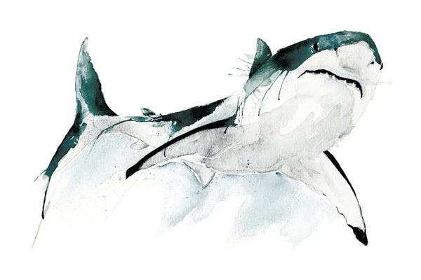 Sharks: The Great White by Kelsey Emblow