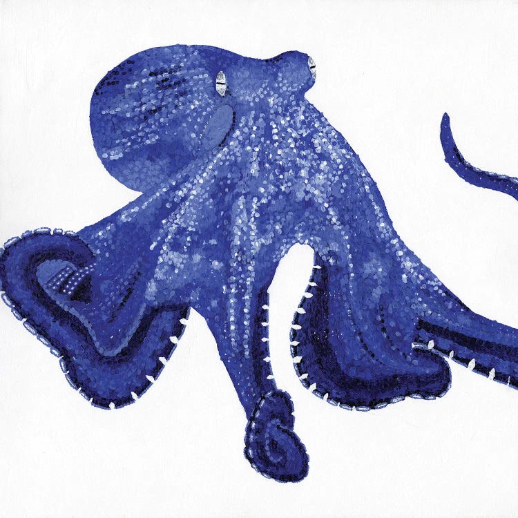 Octopus by Kelsey Emblow wall art