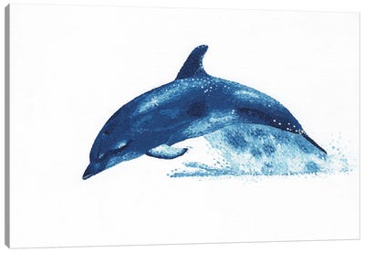 Joy - Dolphin Canvas Art Print - Nautical Décor