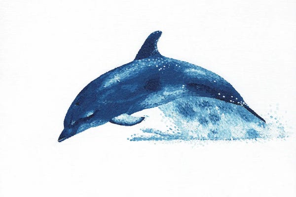 Dolphins: Joy - Dolphin by Kelsey Emblow