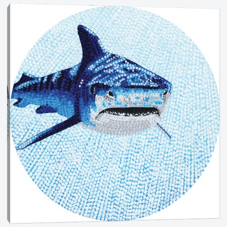 Starry Ocean Tiger Shark Canvas Print #KBW3} by Kelsey Emblow Canvas Artwork