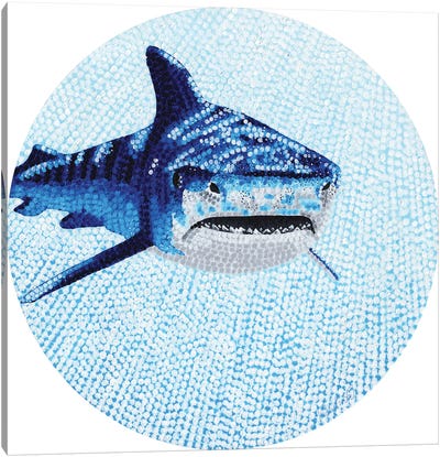 Starry Ocean Tiger Shark Canvas Art Print - Kelsey Emblow