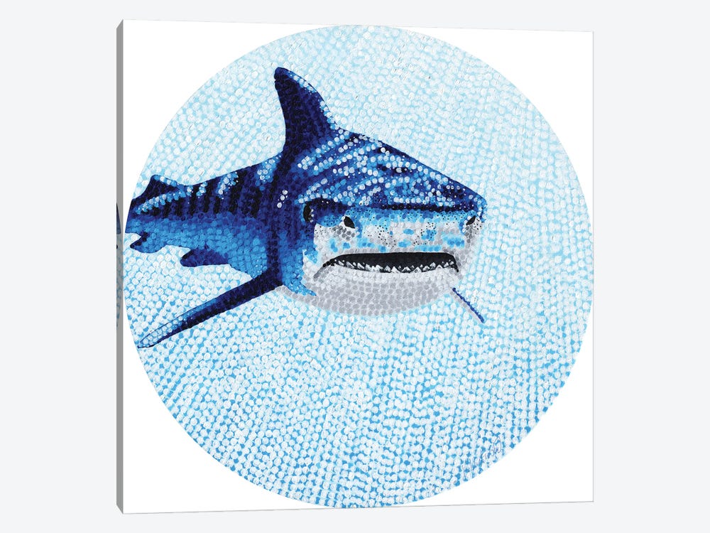 Starry Ocean Tiger Shark by Kelsey Emblow 1-piece Art Print