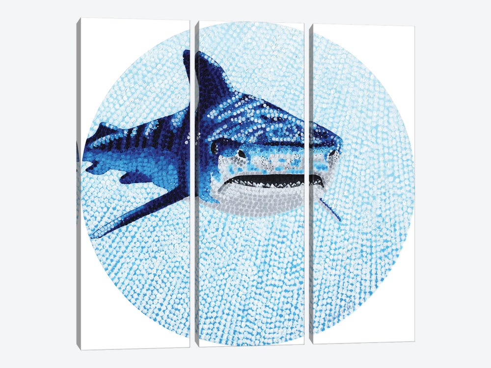 Starry Ocean Tiger Shark by Kelsey Emblow 3-piece Canvas Art Print