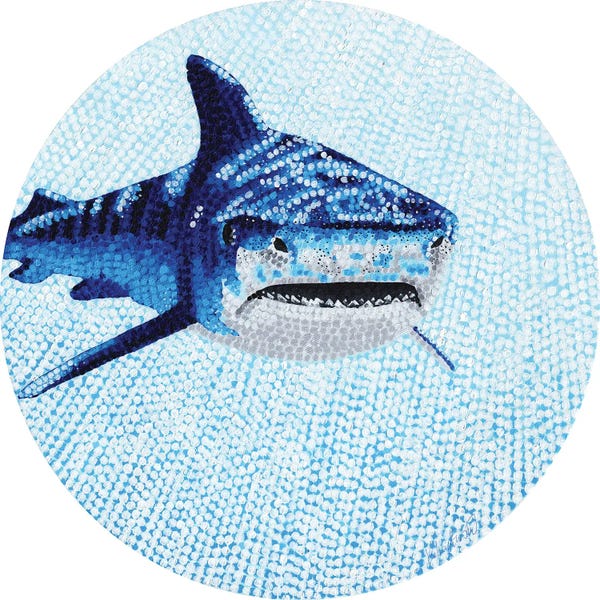 Sharks: Starry Ocean Tiger Shark by Kelsey Emblow