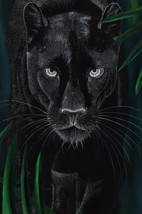 Dreamy Big Cat - Panther by Kelsey Emblow wall art