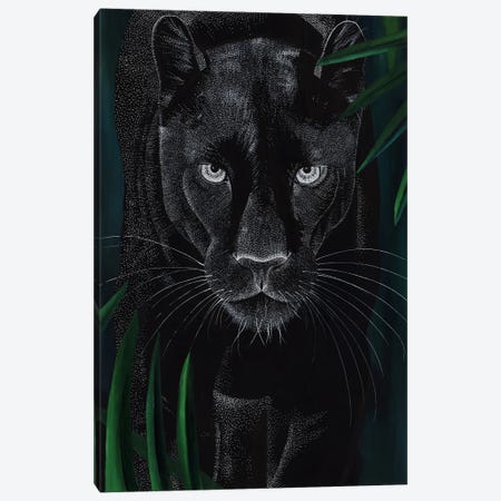 Dreamy Big Cat - Panther Canvas Print #KBW42} by Kelsey Emblow Canvas Wall Art