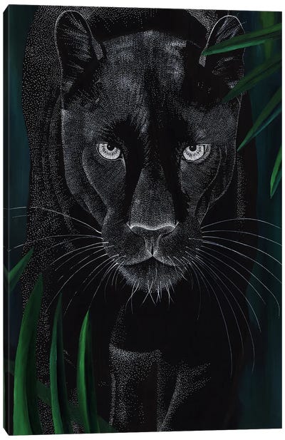 Dreamy Big Cat - Panther Canvas Art Print - Kelsey Emblow
