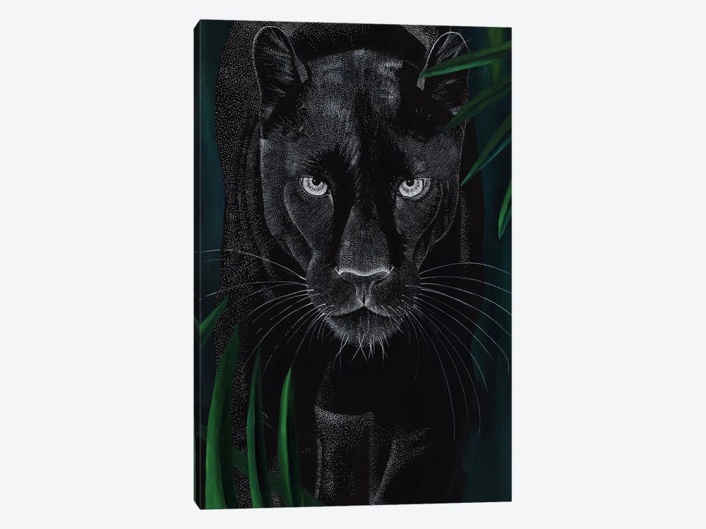 Dreamy Big Cat - Panther by Kelsey Emblow 1-piece Canvas Wall Art