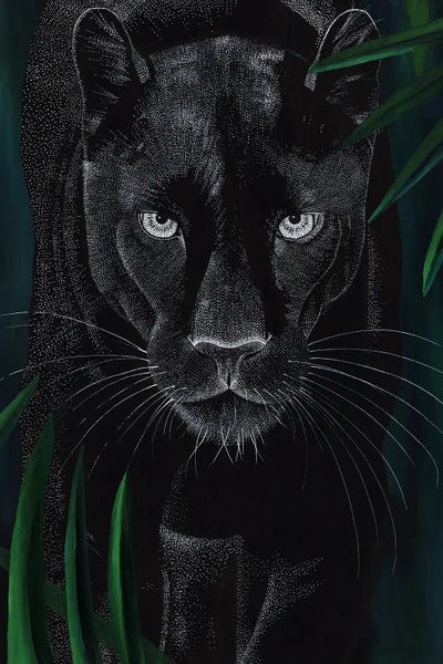 Panthers: Dreamy Big Cat - Panther by Kelsey Emblow
