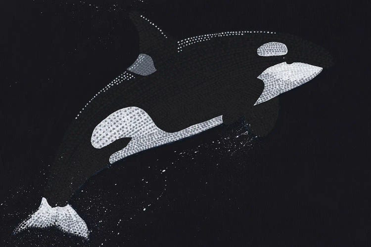 Breaching Orca by Kelsey Emblow wall art