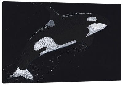 Breaching Orca Canvas Art Print - Orca Whale Art