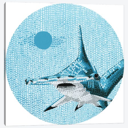 Starry Ocean Hammerhead Shark Canvas Print #KBW4} by Kelsey Emblow Canvas Art Print