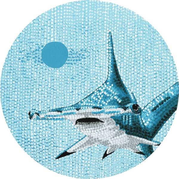 Sharks: Starry Ocean Hammerhead Shark by Kelsey Emblow