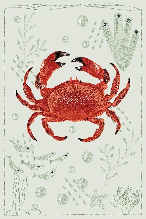 Ocean Garden Brown Crab by Kelsey Emblow wall art