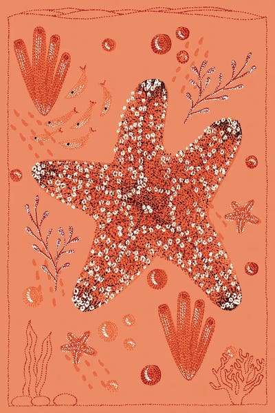 Starfish: Ocean Garden Starfish by Kelsey Emblow