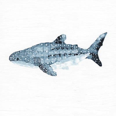 Whale Shark The Spotted Guardian by Kelsey Emblow art print