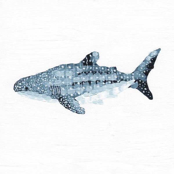 Sharks: Whale Shark The Spotted Guardian by Kelsey Emblow