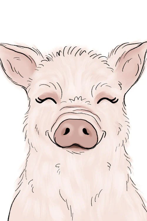 Pig