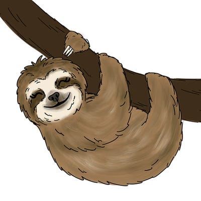 Tree Sloth by Katie Bryant canvas print