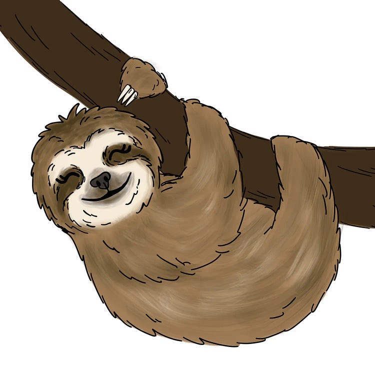 Tree Sloth