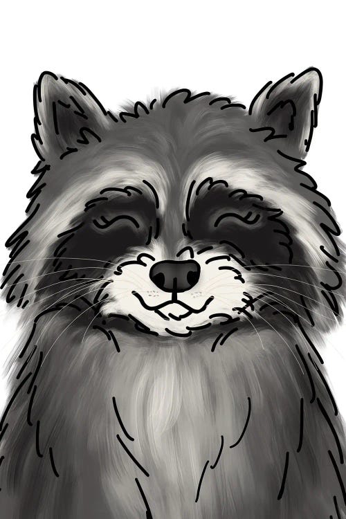 Raccoon