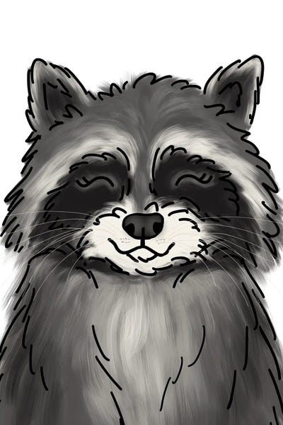 Raccoons: Raccoon by Katie Bryant