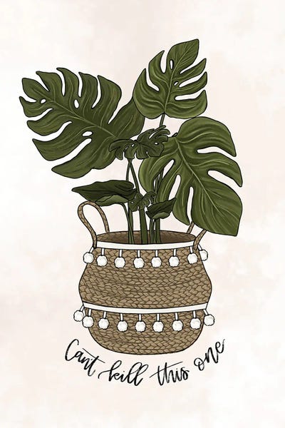 Monsteras: Can't Kill This One - Monstera by Katie Bryant