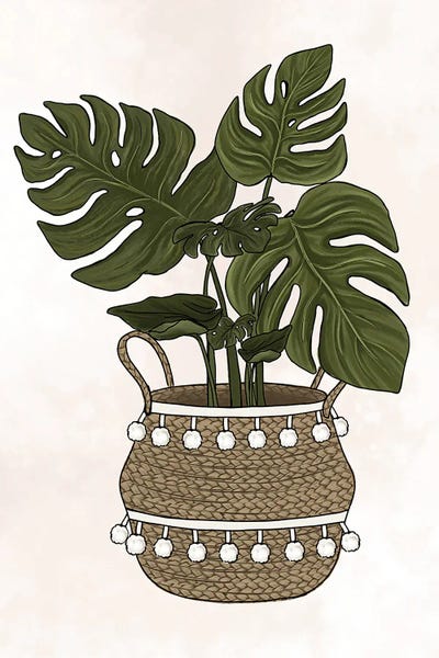 Monsteras: Monstera Plant by Katie Bryant