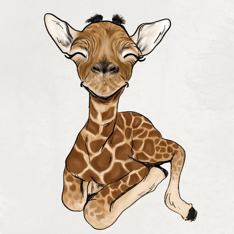 Baby Giraffe