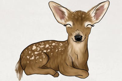 Baby Deer by Katie Bryant canvas print