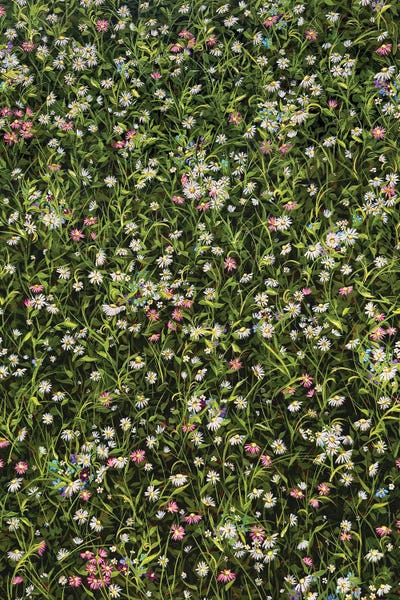 Katie Bryant: Flowers In The Yard by Katie Bryant