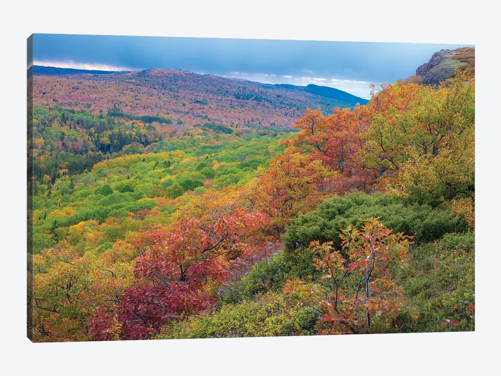 Brockway Fall by Kevin Clifford 1-piece Canvas Art