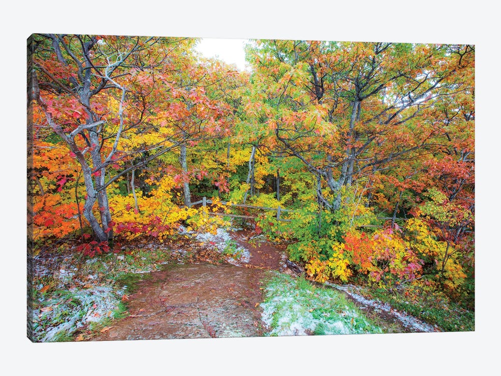 Snowy Autumn by Kevin Clifford 1-piece Canvas Print