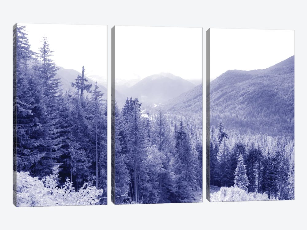 Pacific Nw by Kevin Clifford 3-piece Canvas Print
