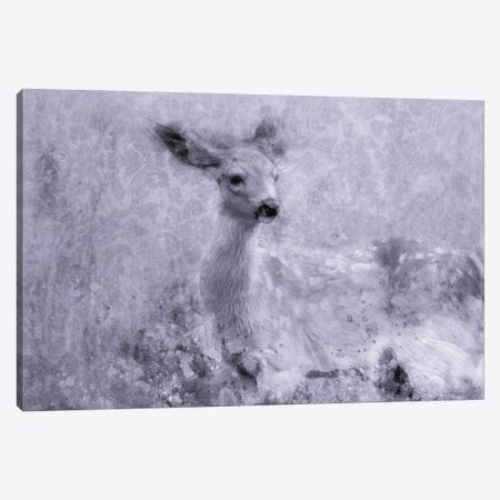 Inquisitive Deer Canvas Print #KCF106} by Kevin Clifford Canvas Artwork