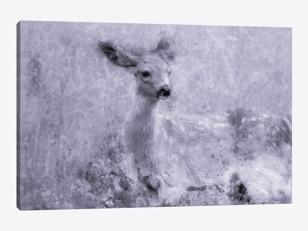 Inquisitive Deer by Kevin Clifford 1-piece Canvas Art