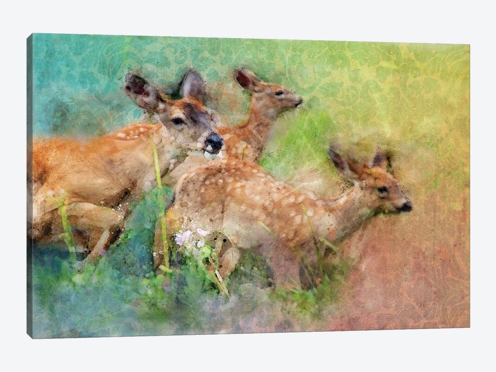 Splashy Deer Family by Kevin Clifford 1-piece Canvas Wall Art