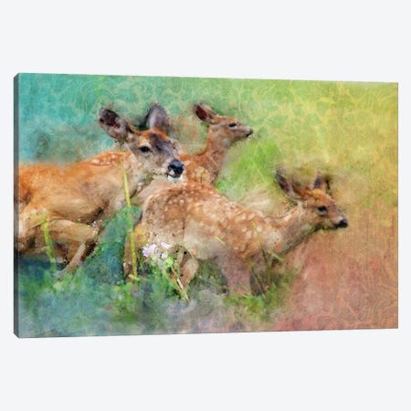 Splashy Deer Family Canvas Print #KCF11} by Kevin Clifford Canvas Print