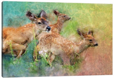 Splashy Deer Family Canvas Art Print - Kevin Clifford