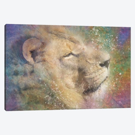 Zen Lion Canvas Print #KCF14} by Kevin Clifford Canvas Art