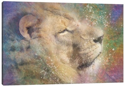 Zen Lion Canvas Art Print - Kevin Clifford