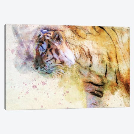 Prowling Tiger Canvas Print #KCF15} by Kevin Clifford Canvas Wall Art