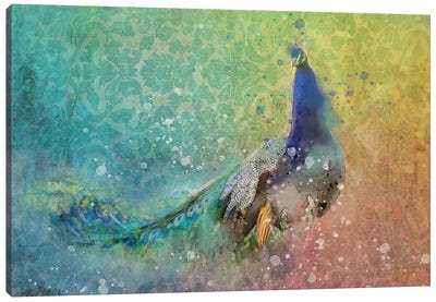 Splashy Peacock Canvas Art Print - Indian Décor