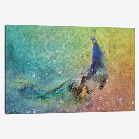 Splashy Peacock Canvas Print #KCF17} by Kevin Clifford Canvas Artwork