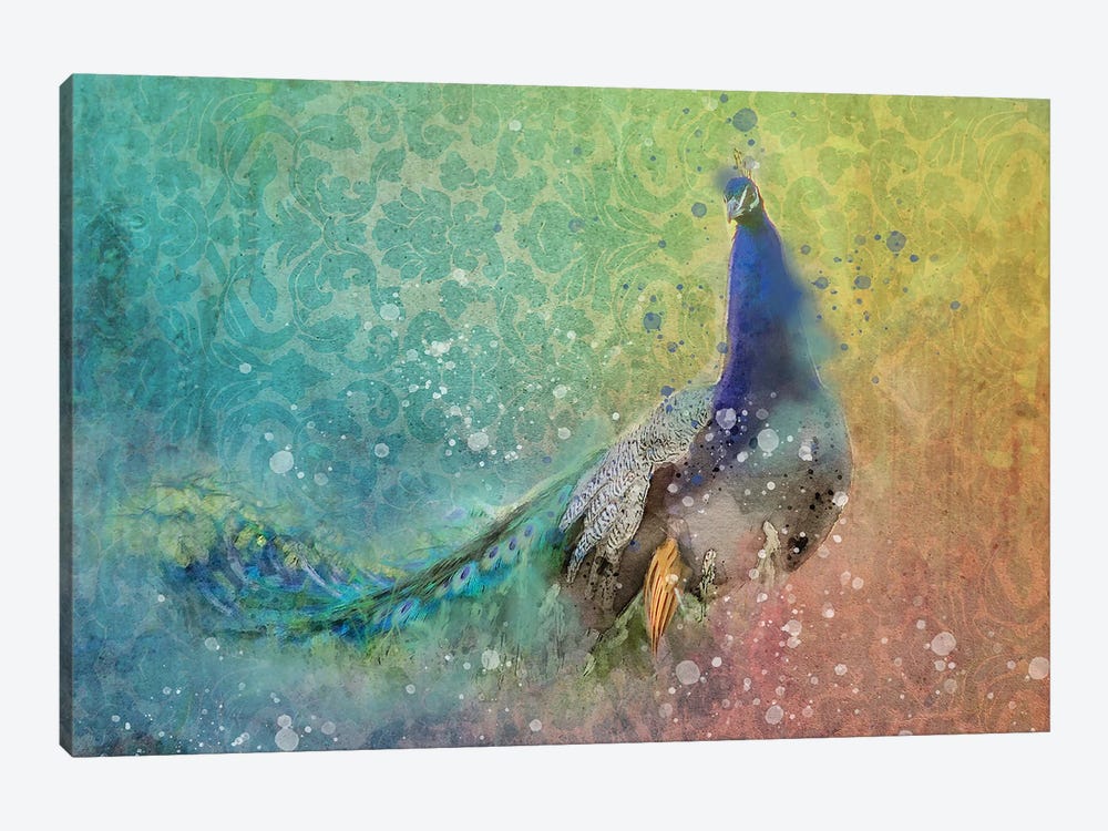 Splashy Peacock by Kevin Clifford 1-piece Canvas Artwork