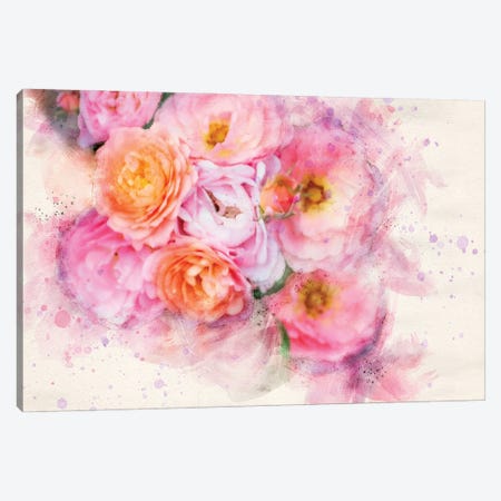 Splashy Pink Roses Canvas Print #KCF18} by Kevin Clifford Art Print